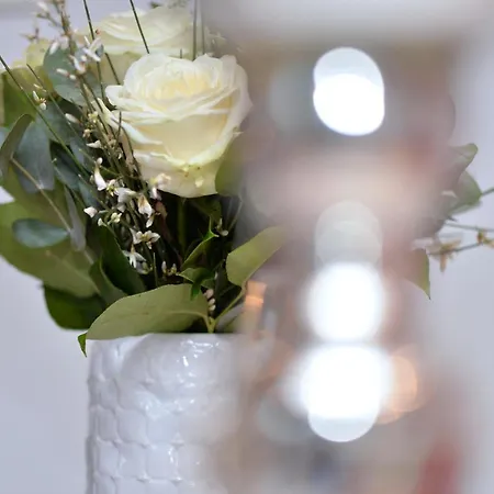 L'elegant De La Petite Venise 아파트