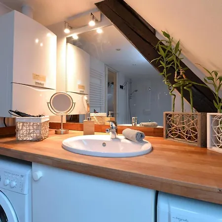 Apartamento L'elegant De La Petite Venise Colmar