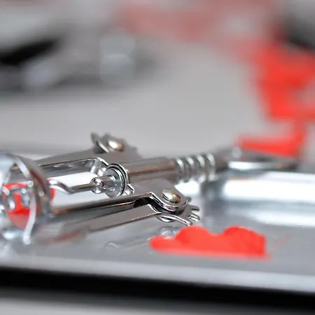 L'elegant De La Petite Venise * 콜마