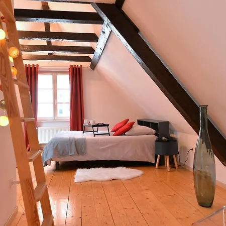 Apartment L'elegant De La Petite Venise *