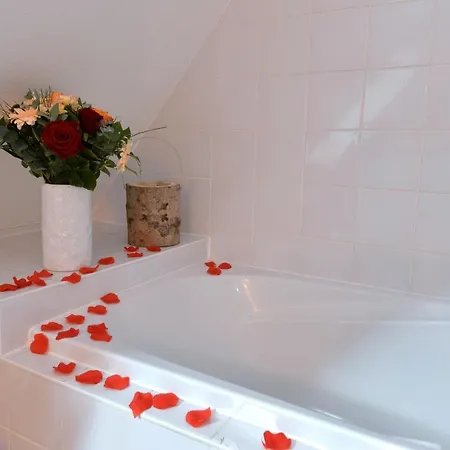 L'elegant De La Petite Venise * Colmar