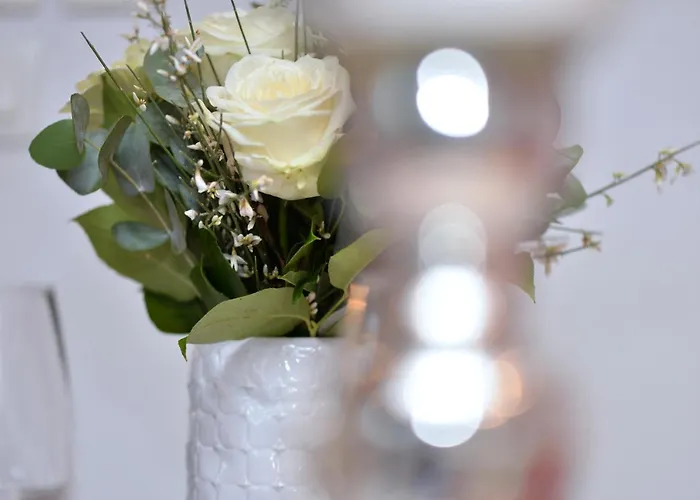L'elegant De La Petite Venise Lejlighed