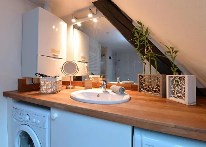 Apartamento L'elégant De La Petite Venise Colmar