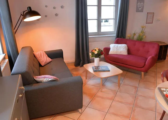 Apartamento L'elégant De La Petite Venise Colmar