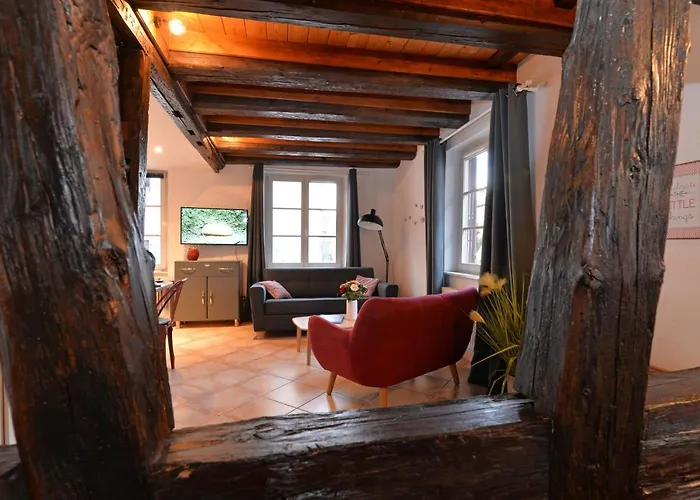 L'elégant De La Petite Venise Colmar