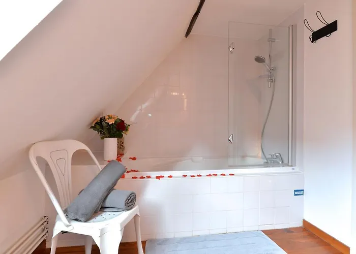 L'elégant De La Petite Venise Apartamento